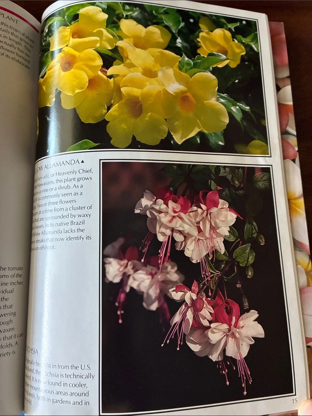 🔺FREE WHEN BUNDLED🔺 “Flowers of Hawaii” Book — Island Heritage